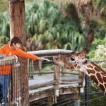 Récompenses dans les zoos : rôle, critères et impact sur les animaux