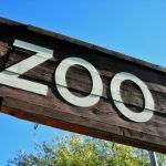 Accidents dans les zoos : causes, exemples et mesures pour la sécurité