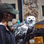 Distance vs présentiel : choisir sa formation de soigneur animalier