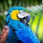 Les plus beaux zoos de France, d'Europe et du monde en 2026
