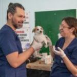 Auxiliaire v�t�rinaire ou soigneur animalier : quelles diff�rences ?