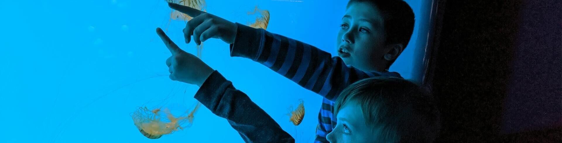 les aquariums du monde