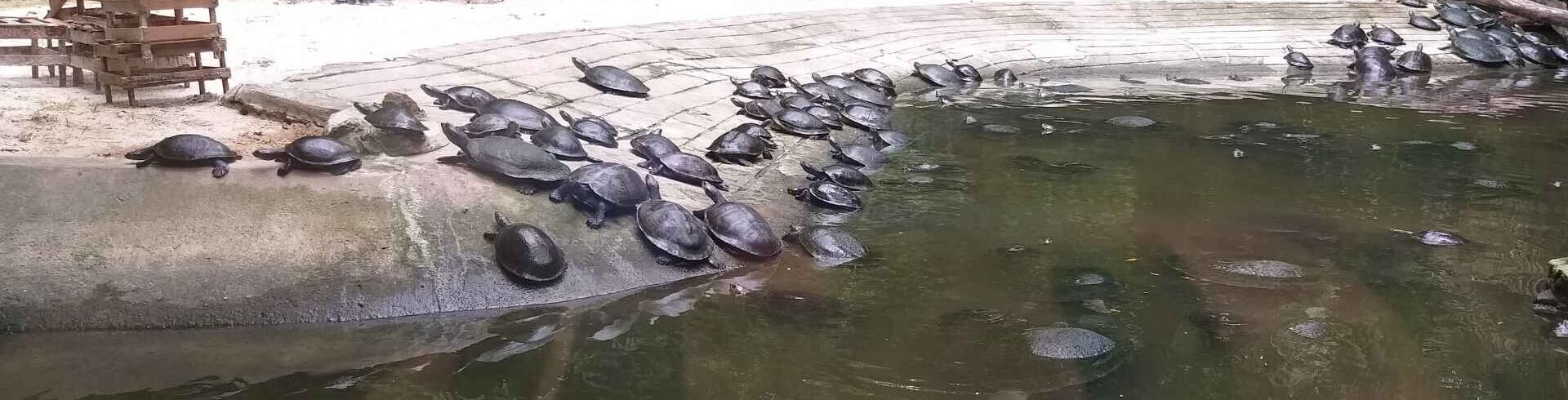 parcs animaliers sp&eacute;cialises