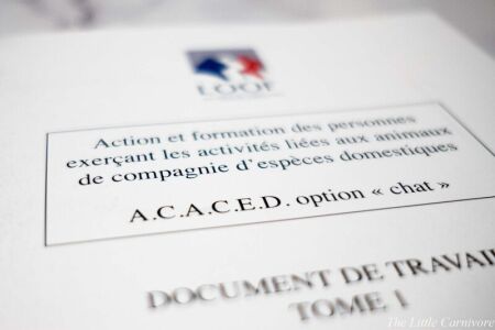 l'acaced
