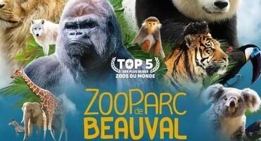 le zooparc de beauval
