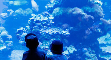 les aquariums du monde

