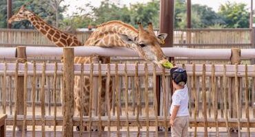 les zoos d'europe
