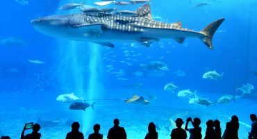 les aquariums d'europe
