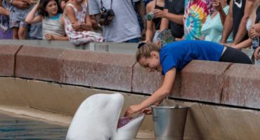 soigneur animalier animateur
