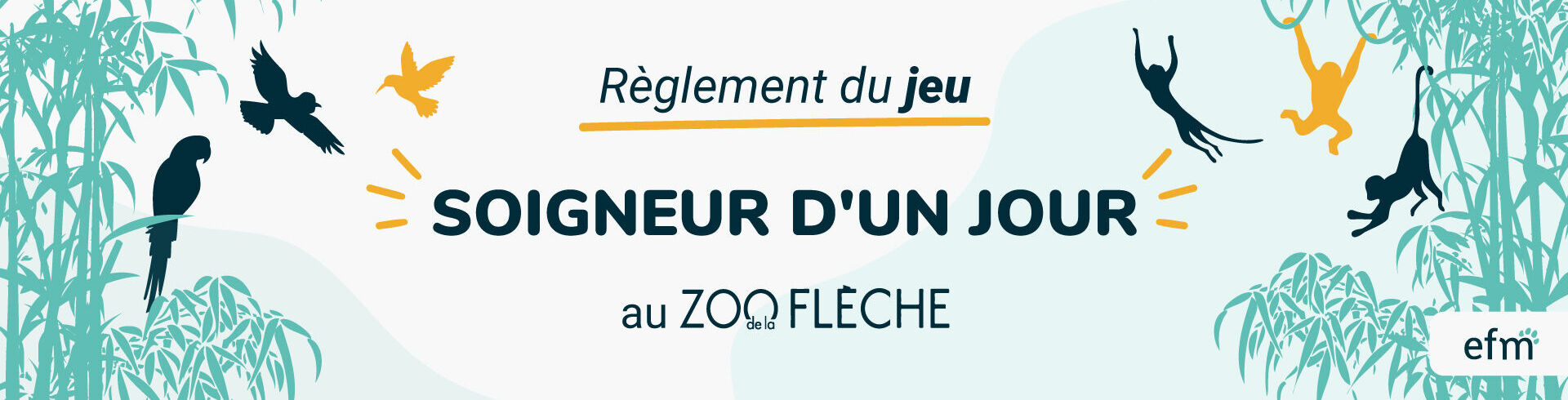 jeu Soigneur animalier