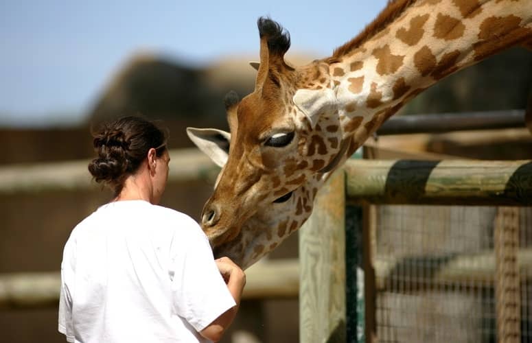 devenir soigneur animalier