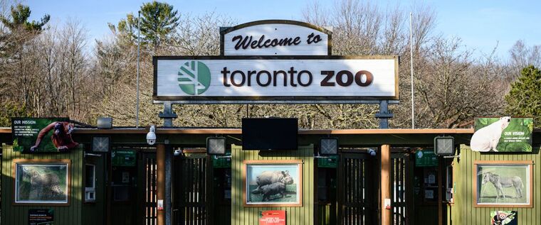 Le Zoo de Toronto au Canada