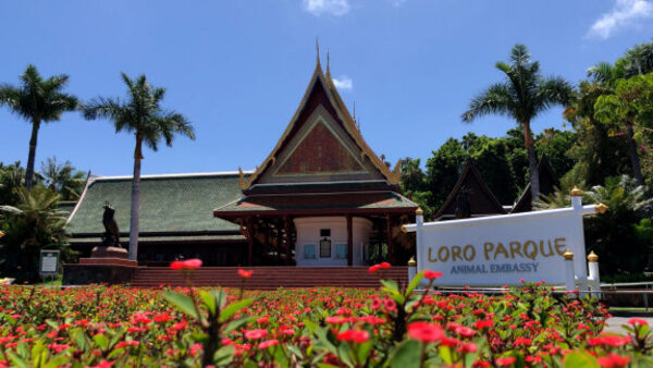 Le Zoo de Loro Parque