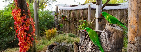 Le Zoo de Prague