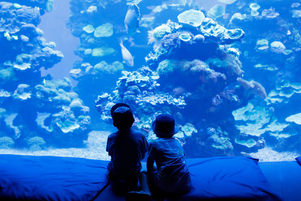 aquariums du monde