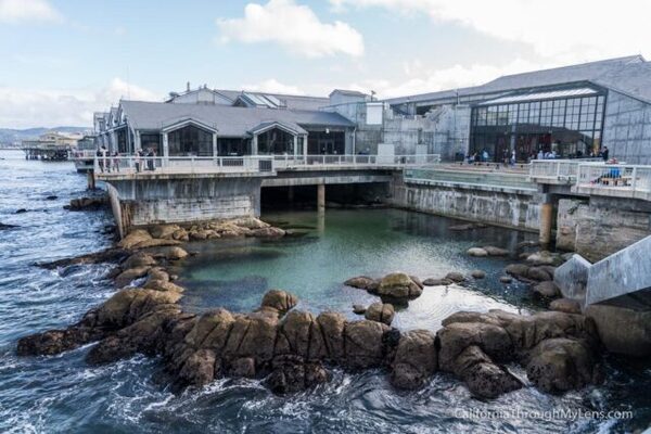 aquarium Monterey Bay