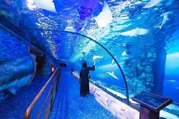 aquarium Duba Mall