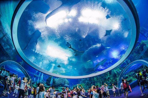 aquarium le Hengqin