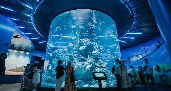 aquarium Singapour