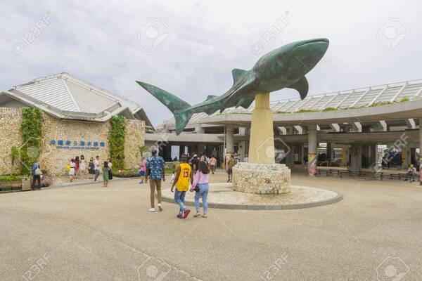 aquarium Churaumi Japon