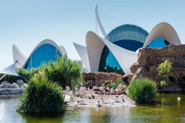 aquarium Ocanografic Espagne