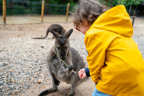 Zoo d'Amnville