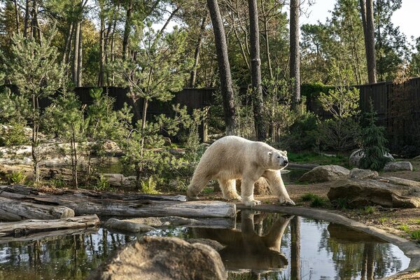 Zoo de la Flche