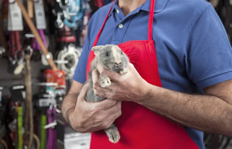 soigneur animalier animalerie