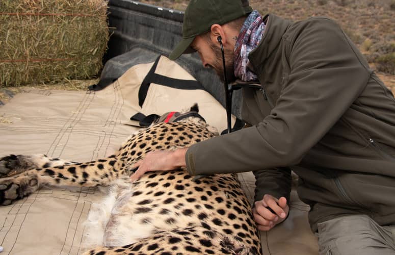 salaire soigneur animalier