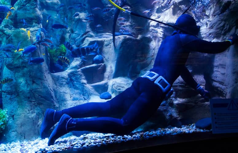 salaire soigneur aquariologiste