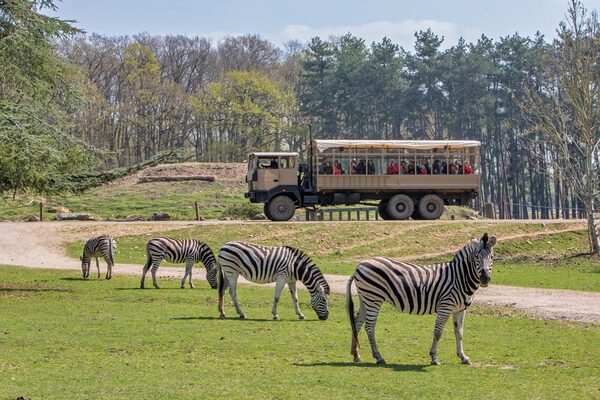 zoo de thoiry