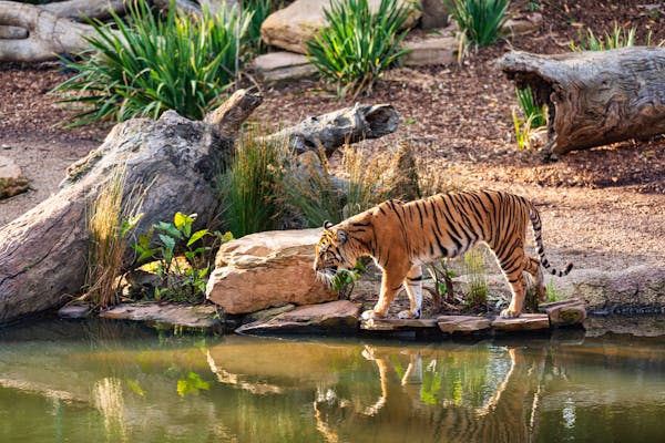 bien etre animal zoo