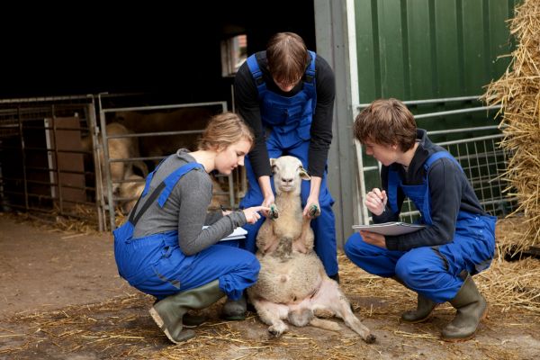 ferme pédagogique