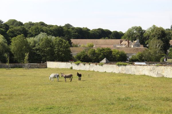 ferme saint cyr l'ecole