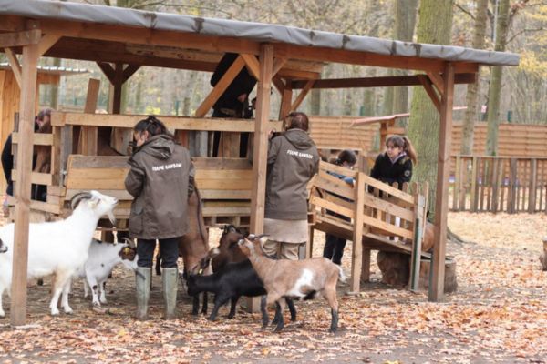 ferme rainbow
