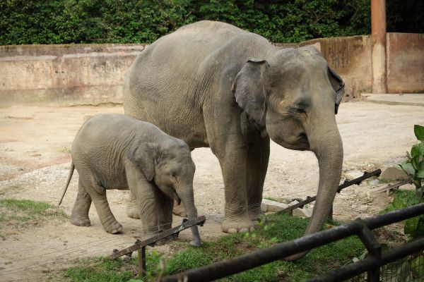 zoo