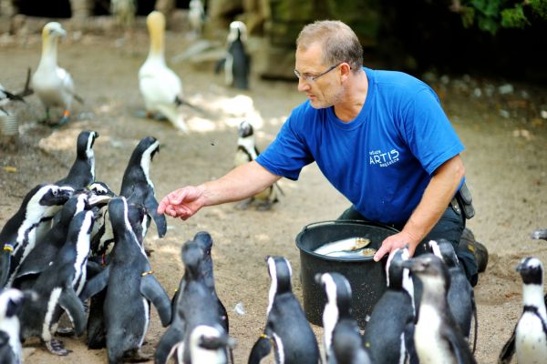 soigneur animalier
