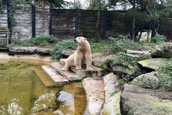 zoo amneville