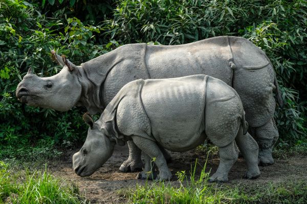 parc animalier de branfr