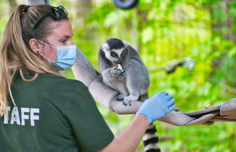 aide soigneur animalier