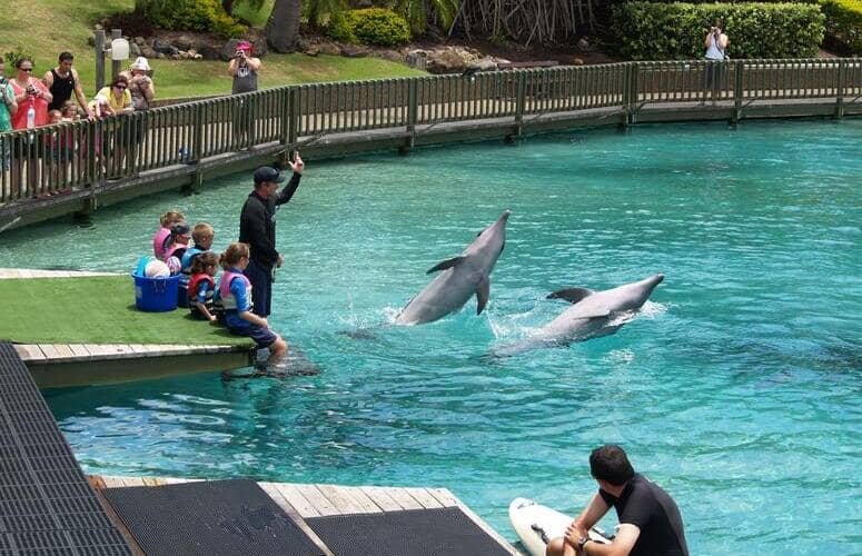 animation parc aquatique