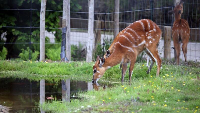 Parc animalier gratuit