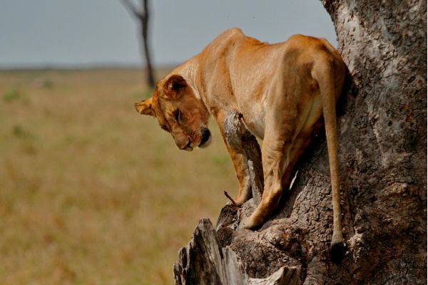 Réserves naturelles au monde