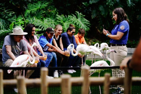 Soigneur animalier zoo