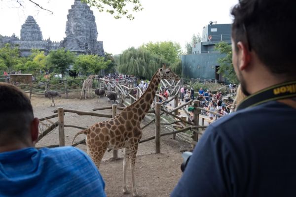 Soigneur animalier stage