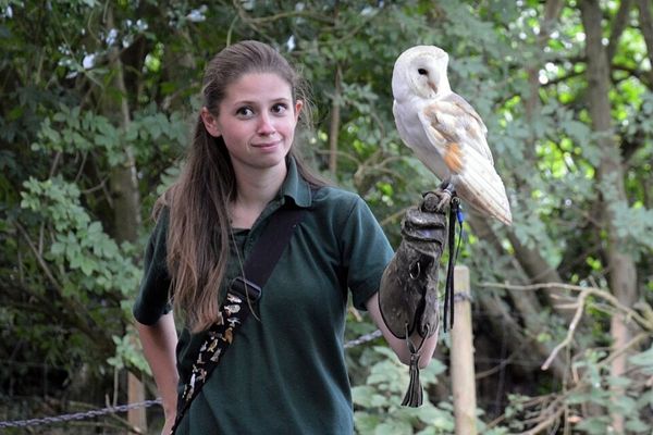 soigneuse animalière avec une chouette
